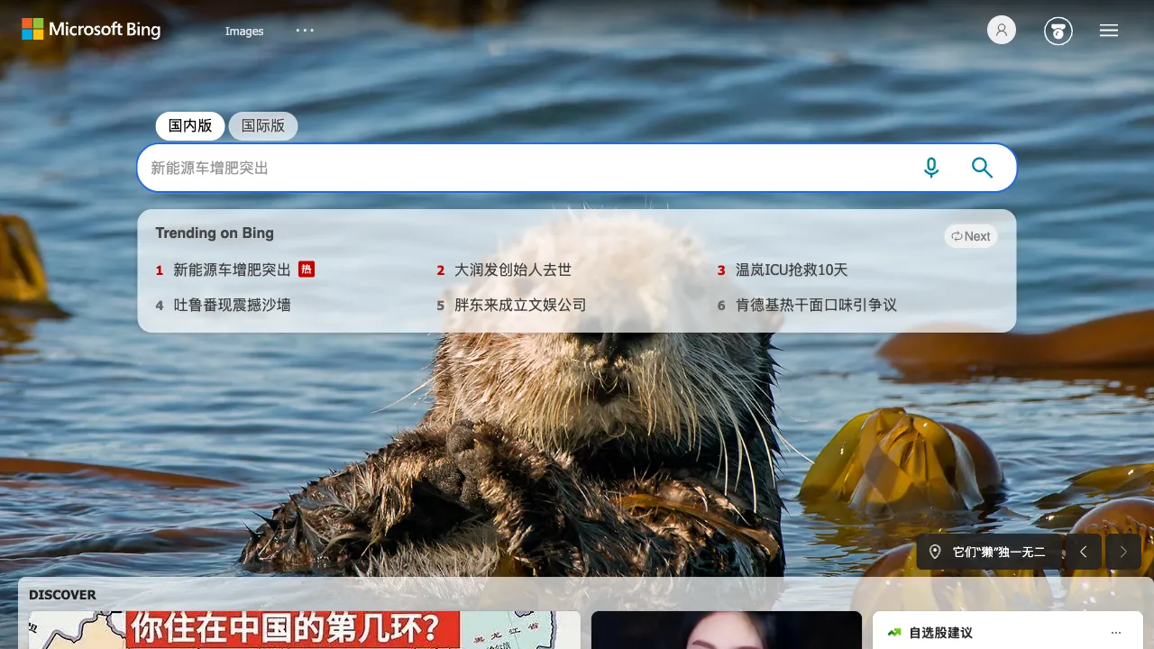 Bing Image Creator 预览
